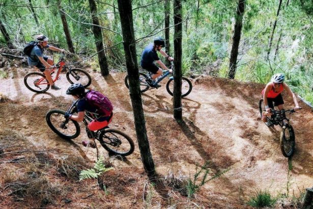 Four mountain bikers negotiating an up hill switchback at Waitangi mountain bike park.