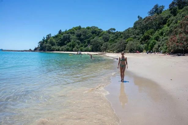 Beach-goers swimming and having fun in sun on a white sand, forest fringed beach in Northland, New Zealand.